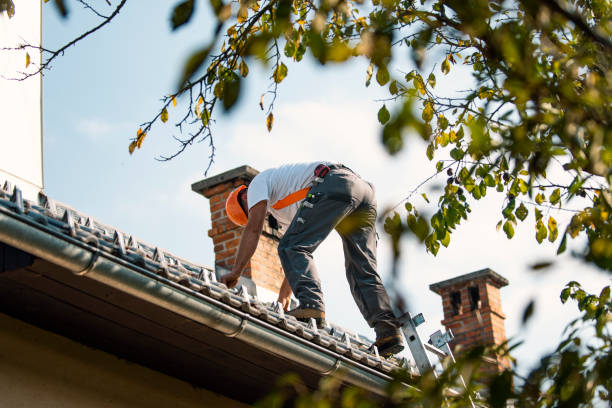 Best Roof Gutter Cleaning  in Algona, WA